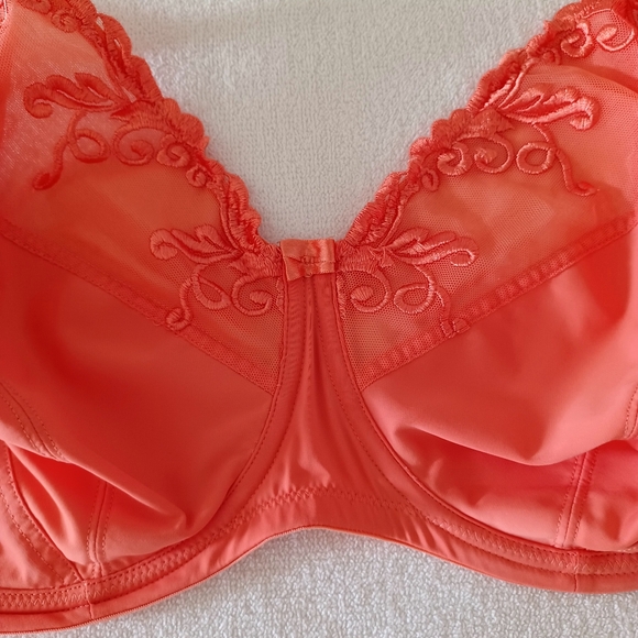 1St & Curve Embroidered Unlined Underwire Bra, size 36I - Picture 6 of 16